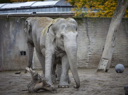 Allwetterzoo Münster