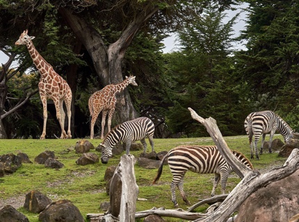 Tierpark Nordhorn